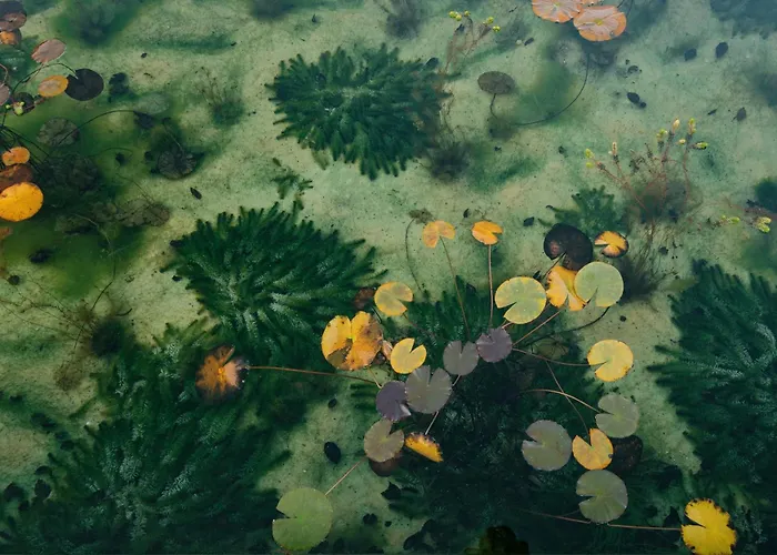 Am Park 3* באד טולץ